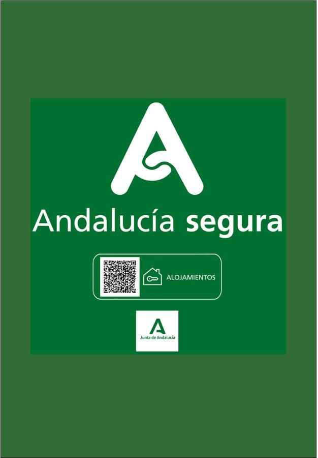 Holidays2Malaga Junto Catedral Apartment ภายนอก รูปภาพ